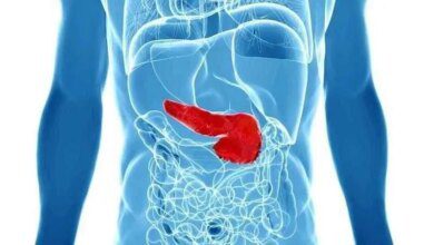 1751056448 5 sintomas para detectar o cancer de pancreas 5 sintomas para detectar o câncer de pâncreas