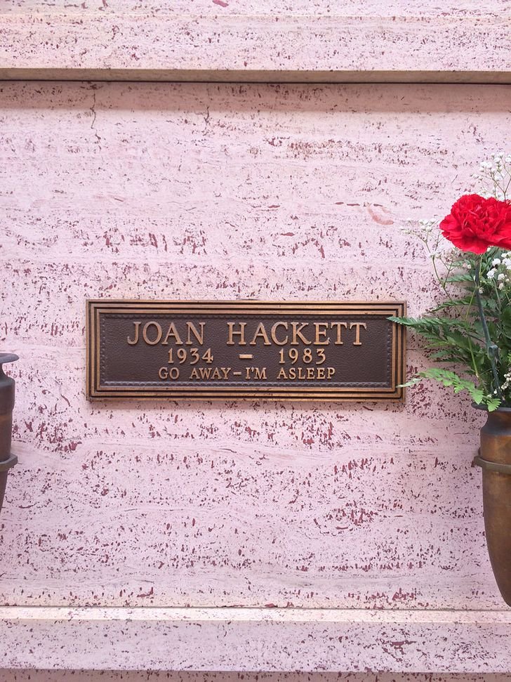 1751062406 886 10 lapides que vao fazer voce rir ao inves de