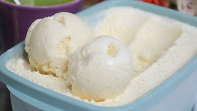 Sorvete caseiro com leite condensado e creme de leite muito fácil de preparar