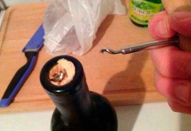 1751067082 908 27 pessoas que podem confiar em qualquer coisa menos na bunda-pro-sol-9