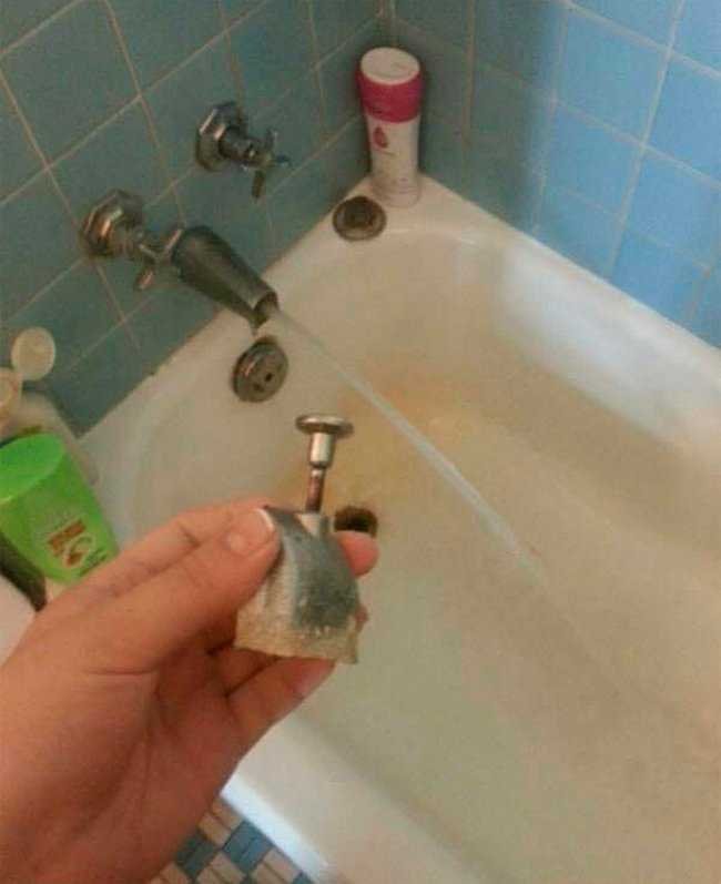 1751067085 365 27 pessoas que podem confiar em qualquer coisa menos na bunda-pro-sol-11