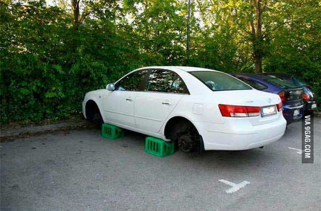 1751067088 397 27 pessoas que podem confiar em qualquer coisa menos na bunda-pro-sol-13