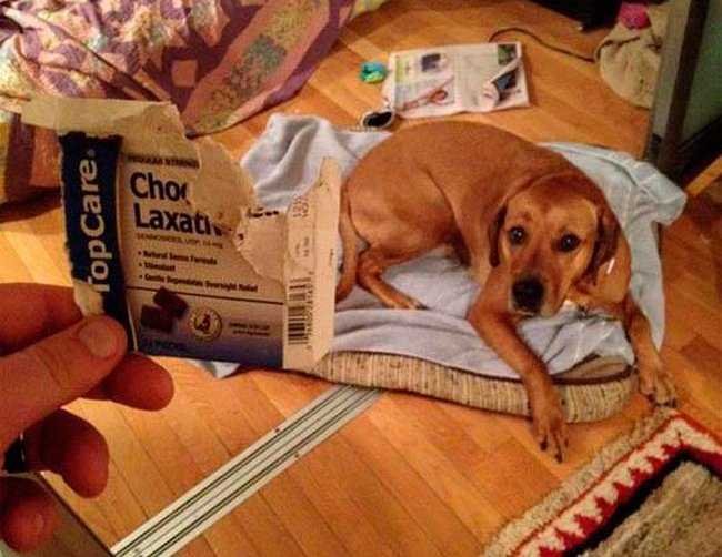 1751067108 972 27 pessoas que podem confiar em qualquer coisa menos na bunda-pro-sol-25