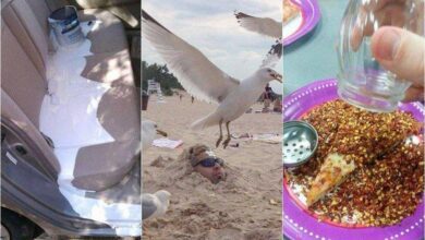 27 pessoas que podem confiar em qualquer coisa, menos na sorte!