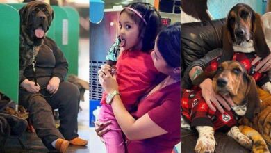 18 imagens confusas perfeitas para embaralhar o cérebro de qualquer pessoa