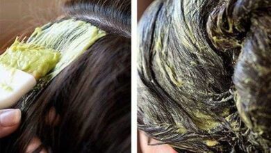 8 Fantásticos tratamentos de beleza com abacate