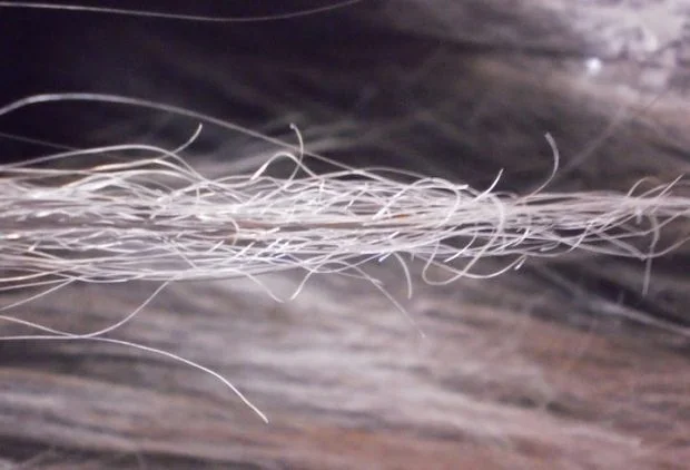 1751069013 138 melhor hidratacao caseira para cabelo emborrachado Porque o cabelo fica emborrachado?