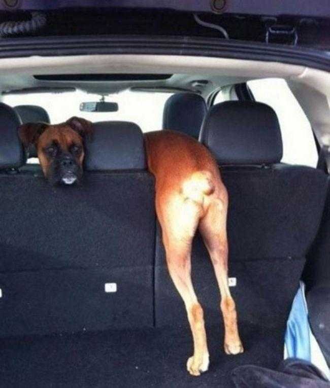 1751070739 971 isso nao e o que parece confira 15 destas confusas