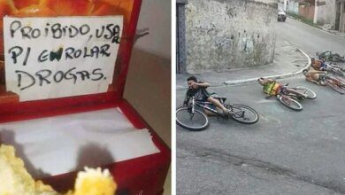 21 imagens que revelam que os brasileiros definitivamente precisam ser estudados