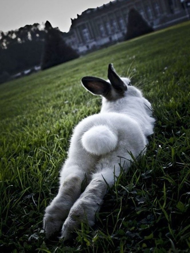 Foto: Tudo Interessante