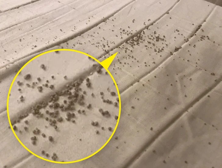 1751076570 73 18 vezes as pessoas encontraram objetos cujo proposito era um