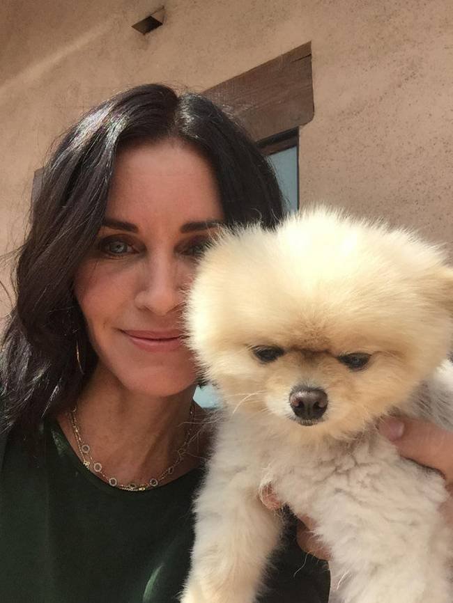 Celebridades-Sujinhas-9