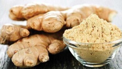 20 motivos para consumir gengibre todos os dias