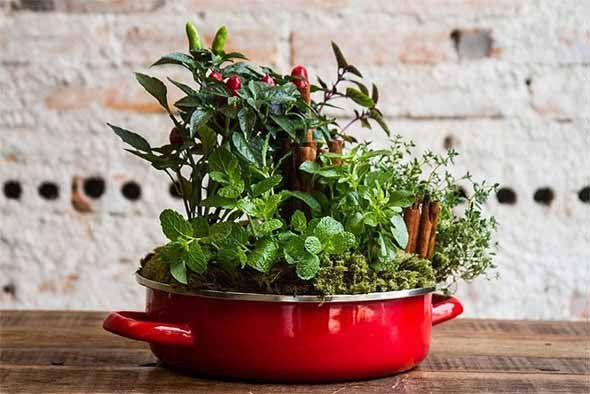 faca-em-casa-sua-hortinha-de-temperos-artesanal-006