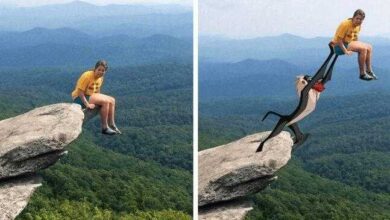 18 Edições hilárias feitas no Photoshop