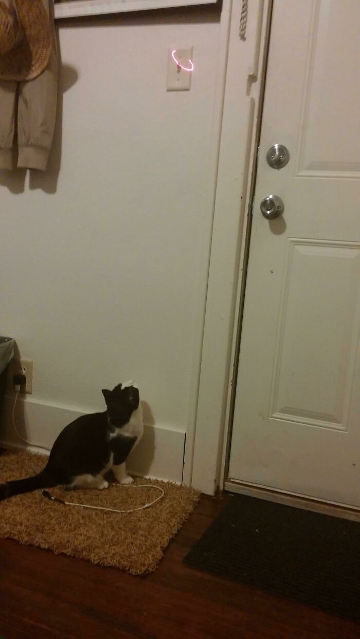 18 pessoas que levaram a preguica para um novo nivel