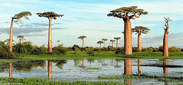 23 imagens que te mostrarão direitinho o que é pareidolia