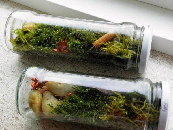 como-reaproveitar-vidros-de-azeitona