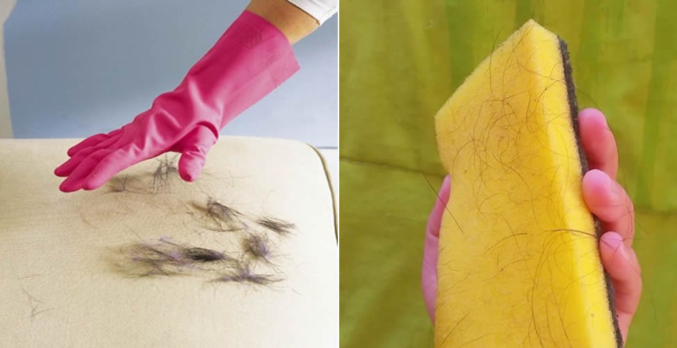 Como Remover Pelos de Animais do Sofá