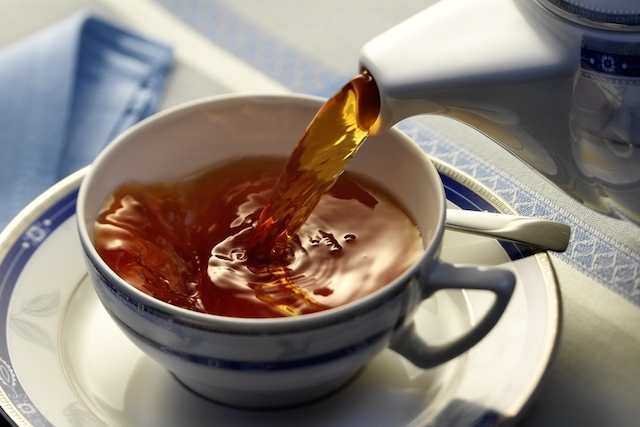 3 Receitas de Chá de Boldo contra Má Digestão