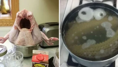 30 fotos que vão fazer você ver rostos onde não existem