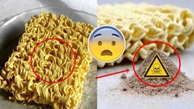 4 razões nojentas para você parar de comer macarrão instantâneo agora s