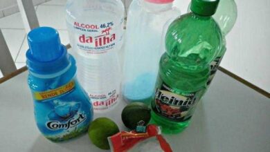 5 Alternativas caseiras e ecológicas de produtos de limpeza