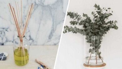 5 maneiras de deixar sua casa bem cheirosa 5 maneiras de deixar sua casa bem cheirosa