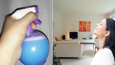 6 receitas caseiras para perfumar sua casa