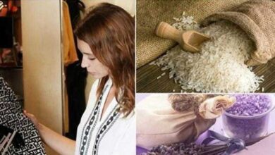 7 Truques para deixar os armários cheirosos e livres do mofo