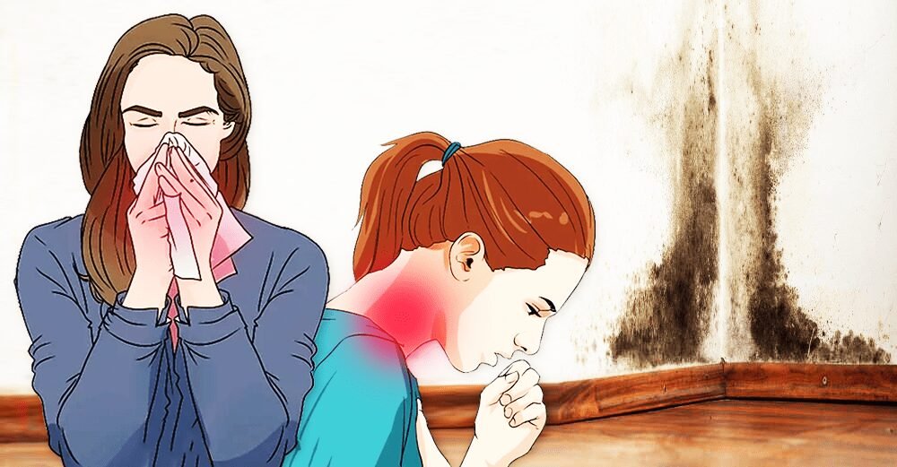 7 Sinais que o mofo está em sua casa e está destruindo seu corpo!