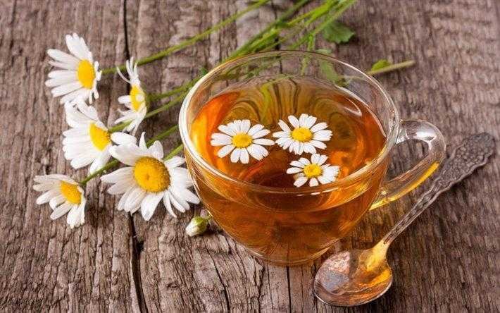 8 beneficios do cha de camomila para sua saude 8 benefícios do chá de camomila para sua saúde