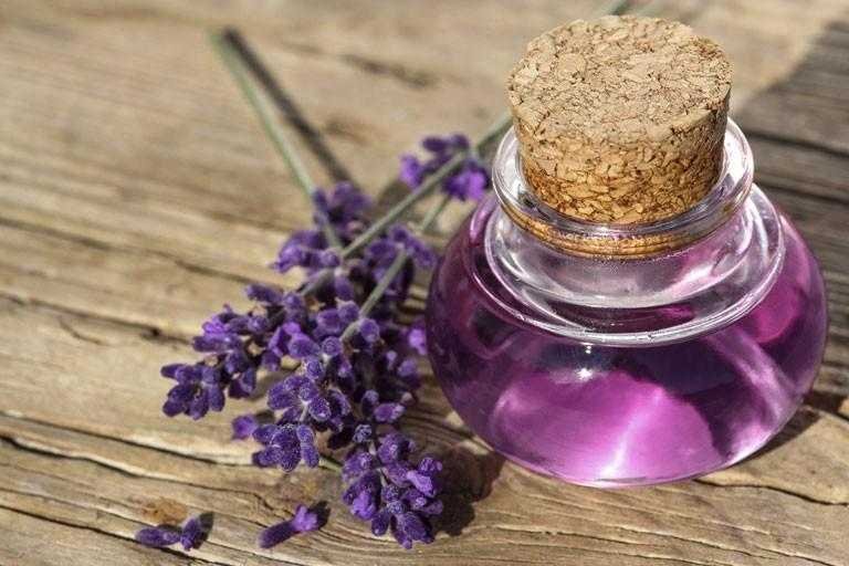 8 beneficios do oleo essencial de salvia 8 benefícios do óleo essencial de sálvia