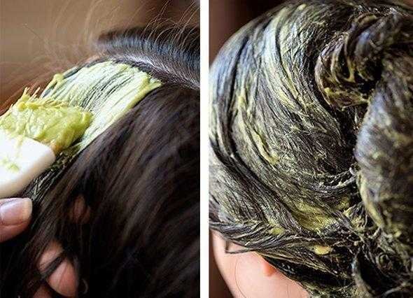 8 fantasticos tratamentos de beleza com abacate 8 Fantásticos tratamentos de beleza com abacate