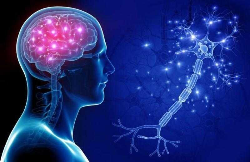 8 habitos que afetam sua saude cerebral sem que voce 8 hábitos que afetam sua saúde cerebral sem que você perceba