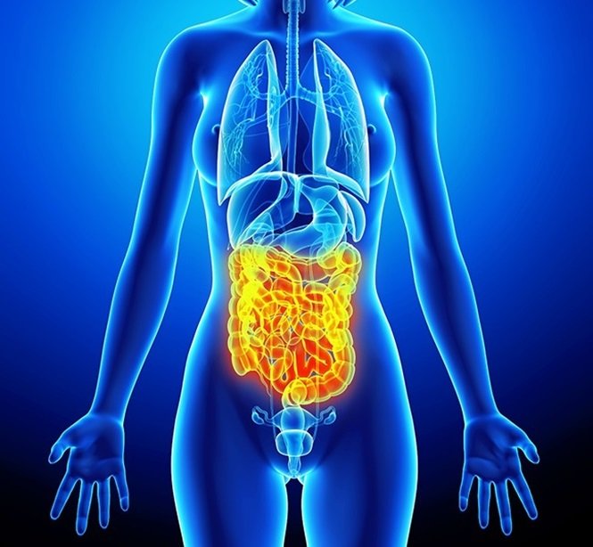 8 sinais que indicam que voce precisa tirar ferias Foto: Incrivel.club