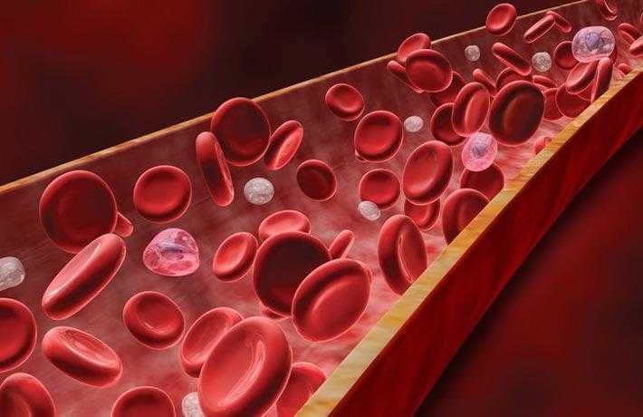 9 Alimentos que ajudam a desentupir suas veias e arterias 9 Alimentos que ajudam a desentupir suas veias e artérias de