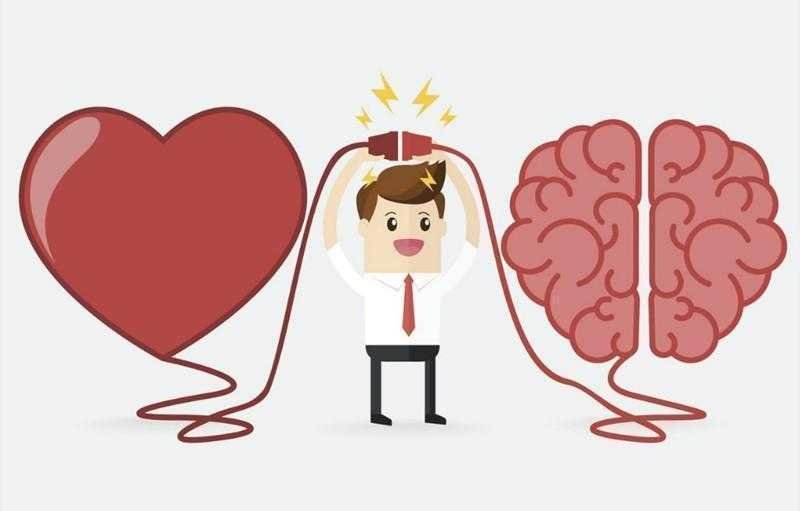 9 sinais de alta inteligencia emocional 9 Sinais de alta inteligência emocional q