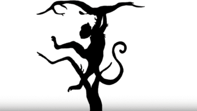 A primeira impressão é a que fica: o que você vê primeiro?