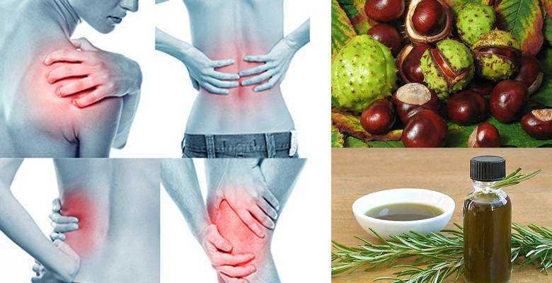 Alcool de ervas elimina dores nas articulacoes Álcool de ervas elimina dores nas articulações