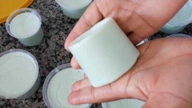 Aprenda Como Fazer Pasta Multiuso