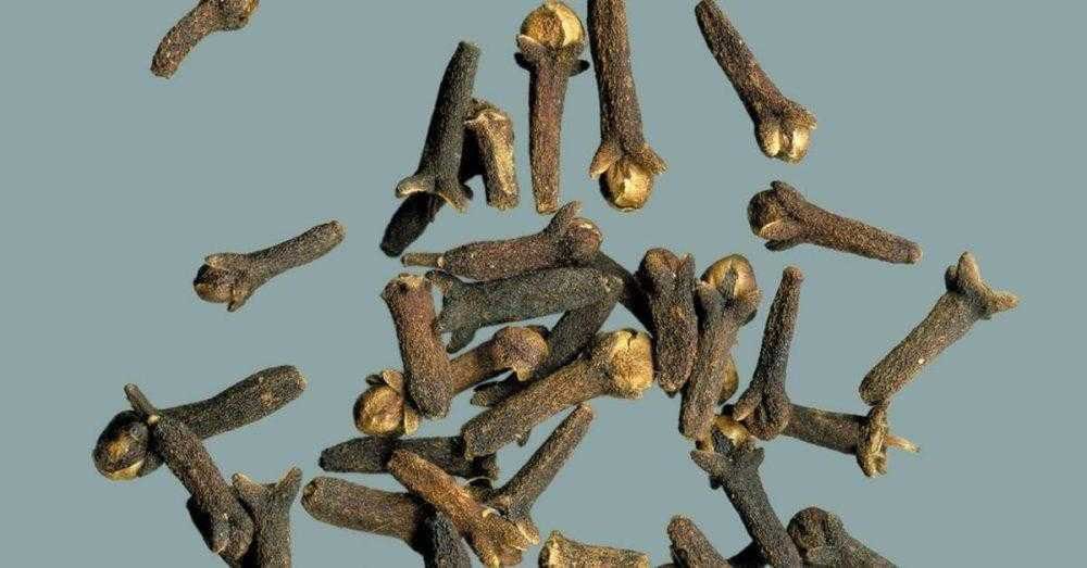 Aprenda a reduzir os níveis de triglicerídeos usando cravo e canela