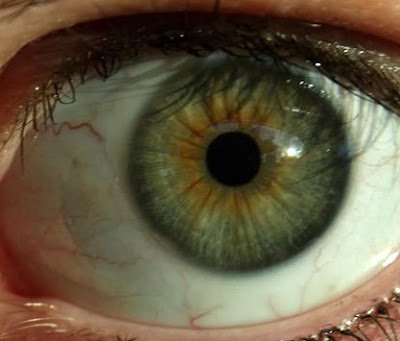 As 5 cores de olhos mais raras do mundo olhos verdes
