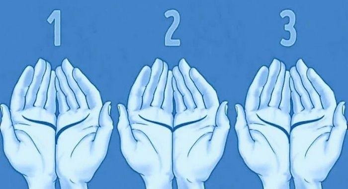 As linhas da sua mão revela algo incrível sobre você 2 As linhas da sua mão revela algo incrível sobre você 2