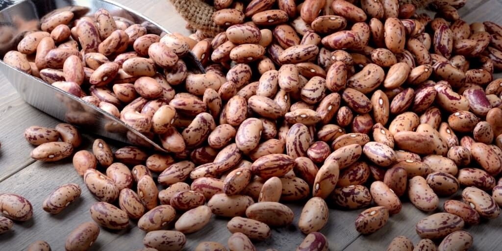 Assim que provar esse feijão, vai se apaixonar e não vai querer mais nenhum outro!