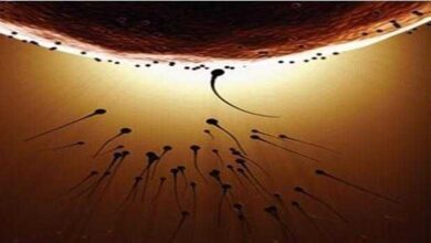 Beber Coca-Cola pode reduzir fertilidade no homem