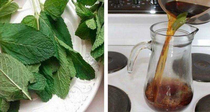 Bebida natural para deixar seu figado novinho em folha Bebida natural para deixar seu fígado novinho em folha