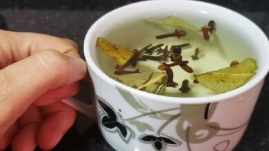 Benefícios do Chá de Louro com Cravo da Índia