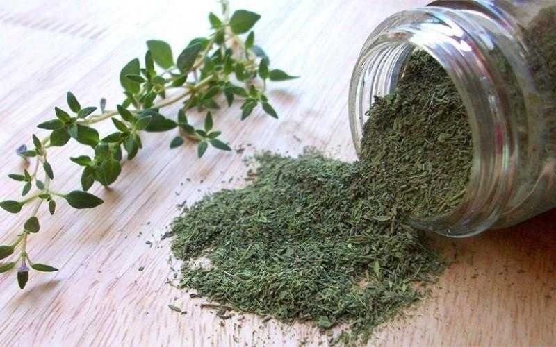 Beneficios do tomilho para a saude e como usar Benefícios do tomilho para a saúde e como usar