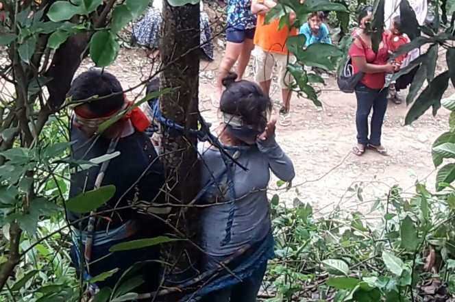 Boliviana foi amarrada a uma arvore por aldeoes irritados – Boliviana foi amarrada a uma árvore por aldeões irritados – e depois condenada à morte por formigas
